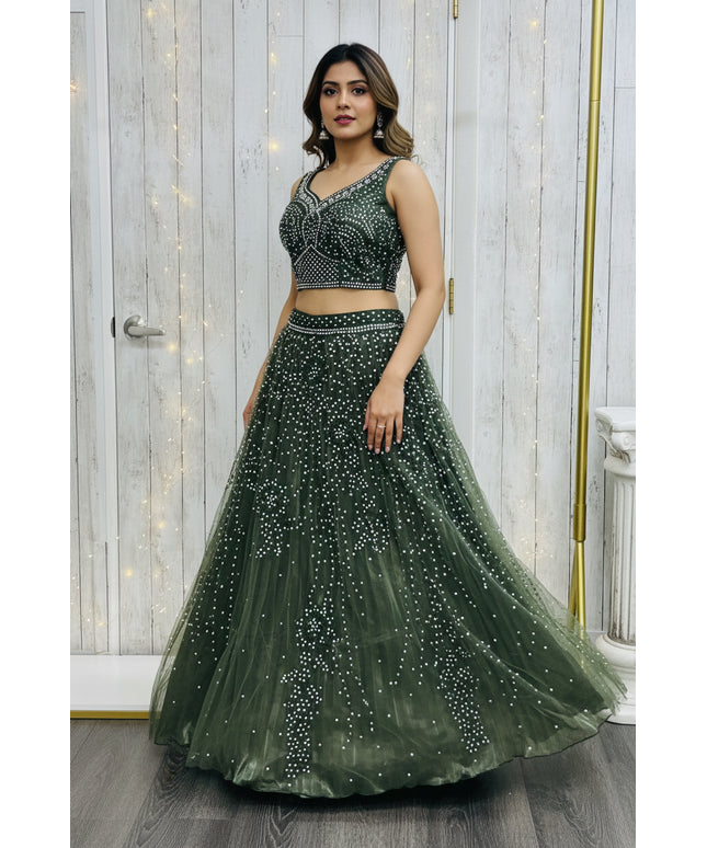 Rewa : Lehenga Choli set