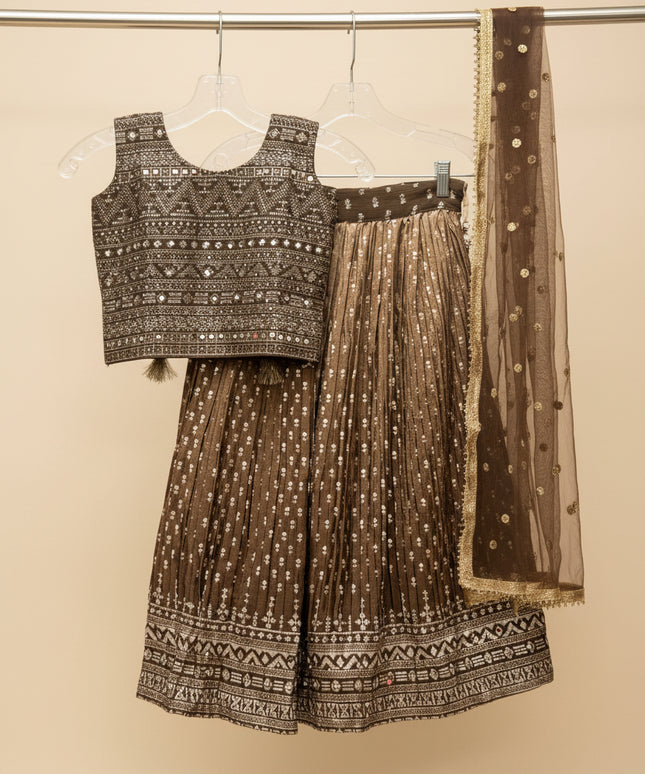 Lehenga Choli set for Girls