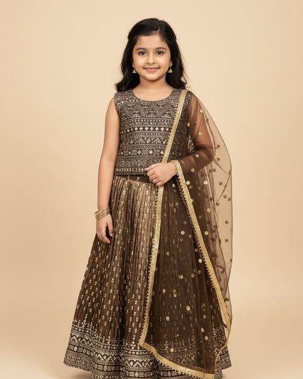 Lehenga Choli set for Girls