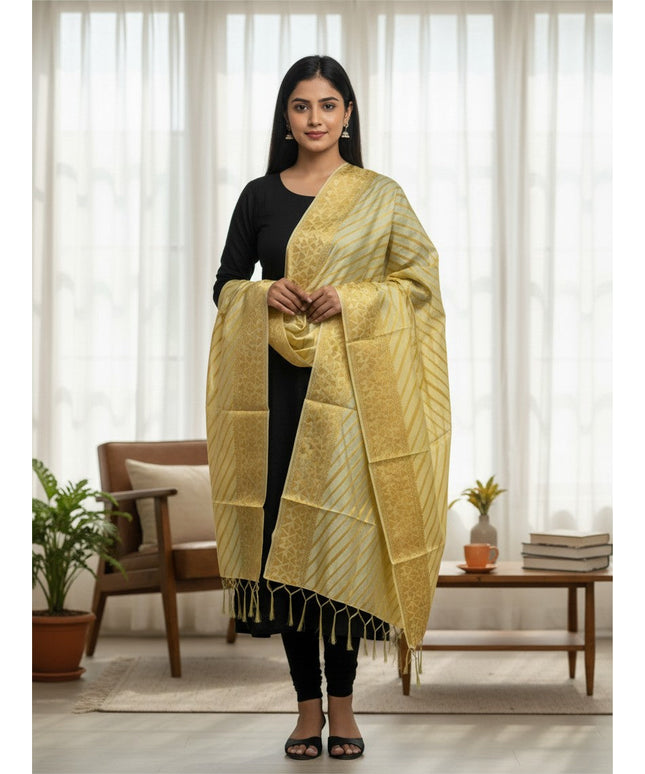 Kurti Connection USA light green dupatta with golden zari stripes and geometric patterns, featuring tassel edges.